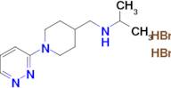 n-((1-(Pyridazin-3-yl)piperidin-4-yl)methyl)propan-2-amine dihydrobromide