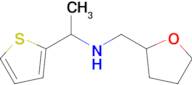 n-((Tetrahydrofuran-2-yl)methyl)-1-(thiophen-2-yl)ethan-1-amine