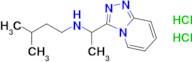 n-(1-([1,2,4]triazolo[4,3-a]pyridin-3-yl)ethyl)-3-methylbutan-1-amine dihydrochloride