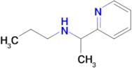 n-(1-(Pyridin-2-yl)ethyl)propan-1-amine