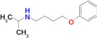 n-Isopropyl-4-phenoxybutan-1-amine