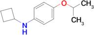 n-Cyclobutyl-4-isopropoxyaniline