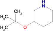 3-(Tert-butoxy)piperidine