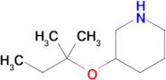 3-(Tert-pentyloxy)piperidine