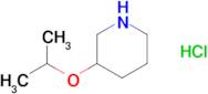 3-Isopropoxypiperidine hydrochloride