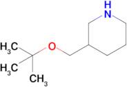 3-(Tert-butoxymethyl)piperidine