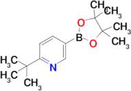 2-(Tert-butyl)-5-(4,4,5,5-tetramethyl-1,3,2-dioxaborolan-2-yl)pyridine