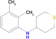 n-(2,3-Dimethylphenyl)tetrahydro-2h-thiopyran-4-amine