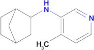 n-(Bicyclo[2.2.1]heptan-2-yl)-4-methylpyridin-3-amine