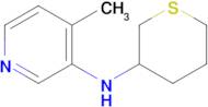 4-Methyl-N-(tetrahydro-2h-thiopyran-3-yl)pyridin-3-amine