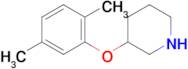 3-(2,5-Dimethylphenoxy)piperidine