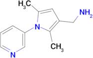 (2,5-Dimethyl-1-(pyridin-3-yl)-1h-pyrrol-3-yl)methanamine