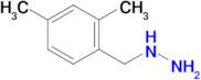 (2,4-Dimethylbenzyl)hydrazine