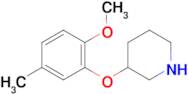 3-(2-Methoxy-5-methylphenoxy)piperidine