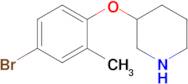 3-(4-Bromo-2-methylphenoxy)piperidine