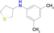 n-(3,5-Dimethylphenyl)tetrahydrothiophen-3-amine