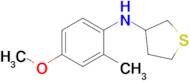 n-(4-Methoxy-2-methylphenyl)tetrahydrothiophen-3-amine