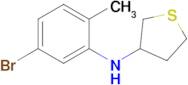 n-(5-Bromo-2-methylphenyl)tetrahydrothiophen-3-amine