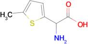 2-Amino-2-(5-methylthiophen-2-yl)acetic acid