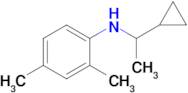 n-(1-Cyclopropylethyl)-2,4-dimethylaniline