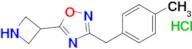 5-(Azetidin-3-yl)-3-(4-methylbenzyl)-1,2,4-oxadiazole hydrochloride