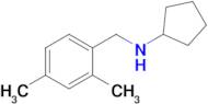 n-(2,4-Dimethylbenzyl)cyclopentanamine