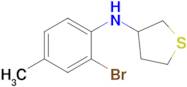 n-(2-Bromo-4-methylphenyl)tetrahydrothiophen-3-amine