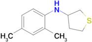 n-(2,4-Dimethylphenyl)tetrahydrothiophen-3-amine