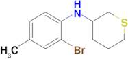 n-(2-Bromo-4-methylphenyl)tetrahydro-2h-thiopyran-3-amine