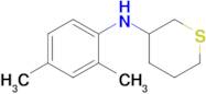 n-(2,4-Dimethylphenyl)tetrahydro-2h-thiopyran-3-amine