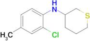 n-(2-Chloro-4-methylphenyl)tetrahydro-2h-thiopyran-3-amine