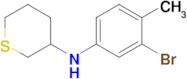 n-(3-Bromo-4-methylphenyl)tetrahydro-2h-thiopyran-3-amine