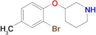 3-(2-Bromo-4-methylphenoxy)piperidine