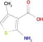 2-Amino-4-methylthiophene-3-carboxylic acid