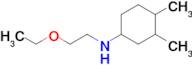 n-(2-Ethoxyethyl)-3,4-dimethylcyclohexan-1-amine