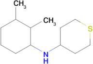 n-(2,3-Dimethylcyclohexyl)tetrahydro-2h-thiopyran-4-amine