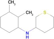 n-(2,3-Dimethylcyclohexyl)tetrahydro-2h-thiopyran-3-amine