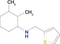 2,3-Dimethyl-N-(thiophen-2-ylmethyl)cyclohexan-1-amine