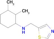 2,3-Dimethyl-N-(thiazol-5-ylmethyl)cyclohexan-1-amine