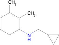 n-(Cyclopropylmethyl)-2,3-dimethylcyclohexan-1-amine