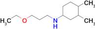 n-(3-Ethoxypropyl)-3,4-dimethylcyclohexan-1-amine