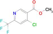 Methyl 4-chloro-6-(trifluoromethyl)nicotinate