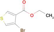 Ethyl 4-bromothiophene-3-carboxylate