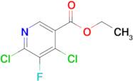 Ethyl 4,6-dichloro-5-fluoronicotinate