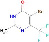 5-bromo-2-methyl-6-(trifluoromethyl)-3,4-dihydropyrimidin-4-one