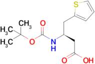 (R)-3-((tert-Butoxycarbonyl)amino)-4-(thiophen-2-yl)butanoic acid