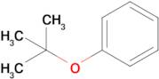 tert-Butoxybenzene