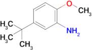 5-(tert-Butyl)-2-methoxyaniline
