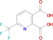 6-(Trifluoromethyl)pyridine-2,3-dicarboxylic acid