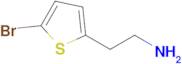 2-(5-Bromo-2-thienyl)ethylamine
